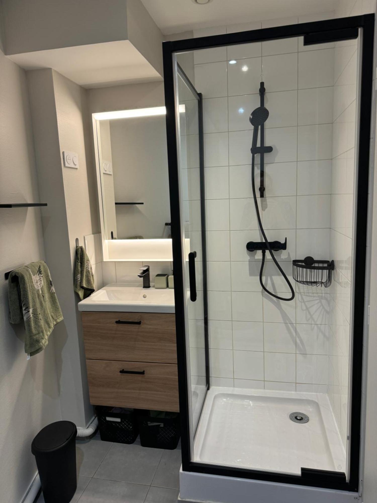 Appartement Avec Une Chambre リヨン エクステリア 写真